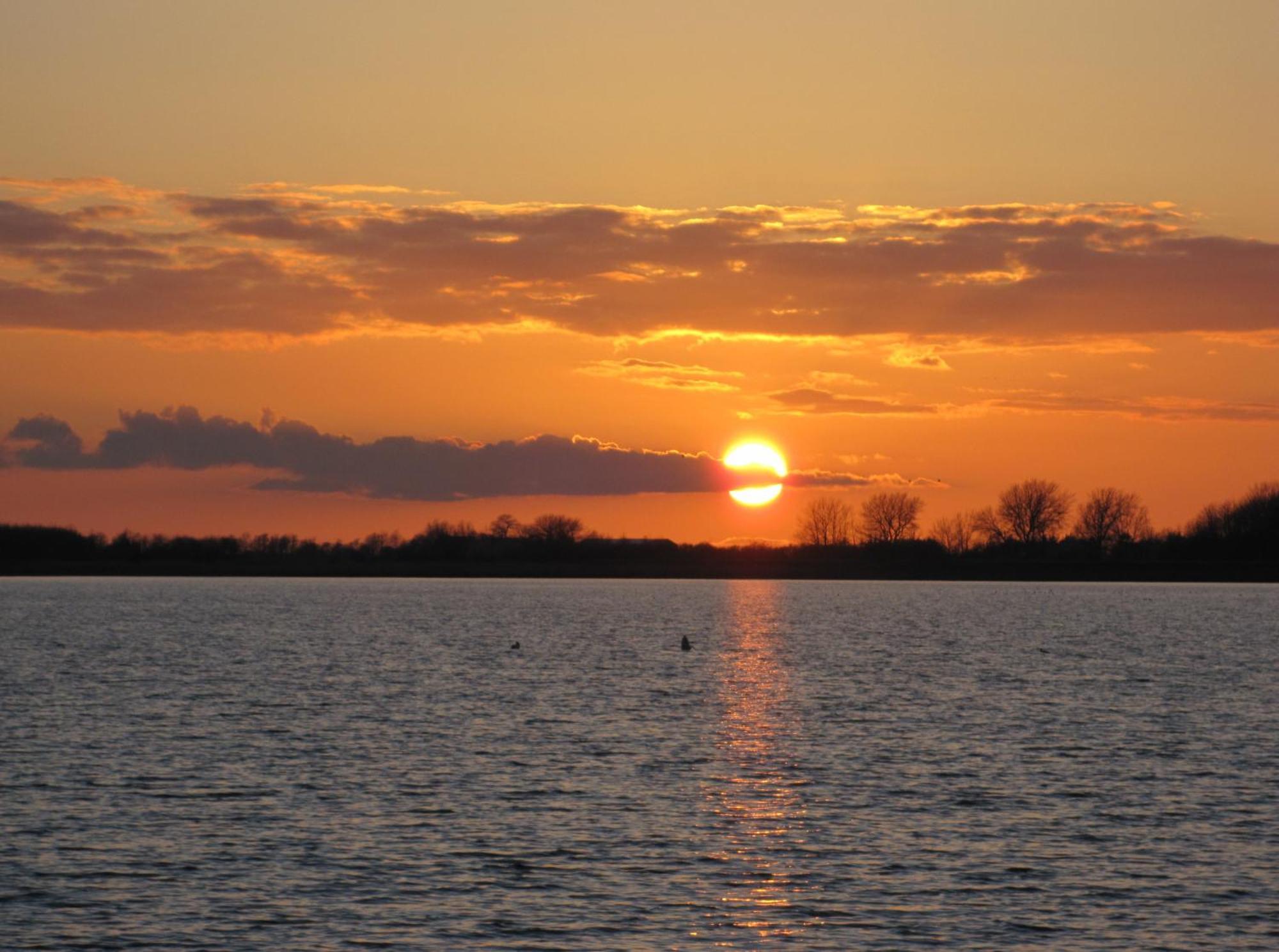 Fewo Im Kastania Nr19 Petersdorf auf Fehmarn Kültér fotó