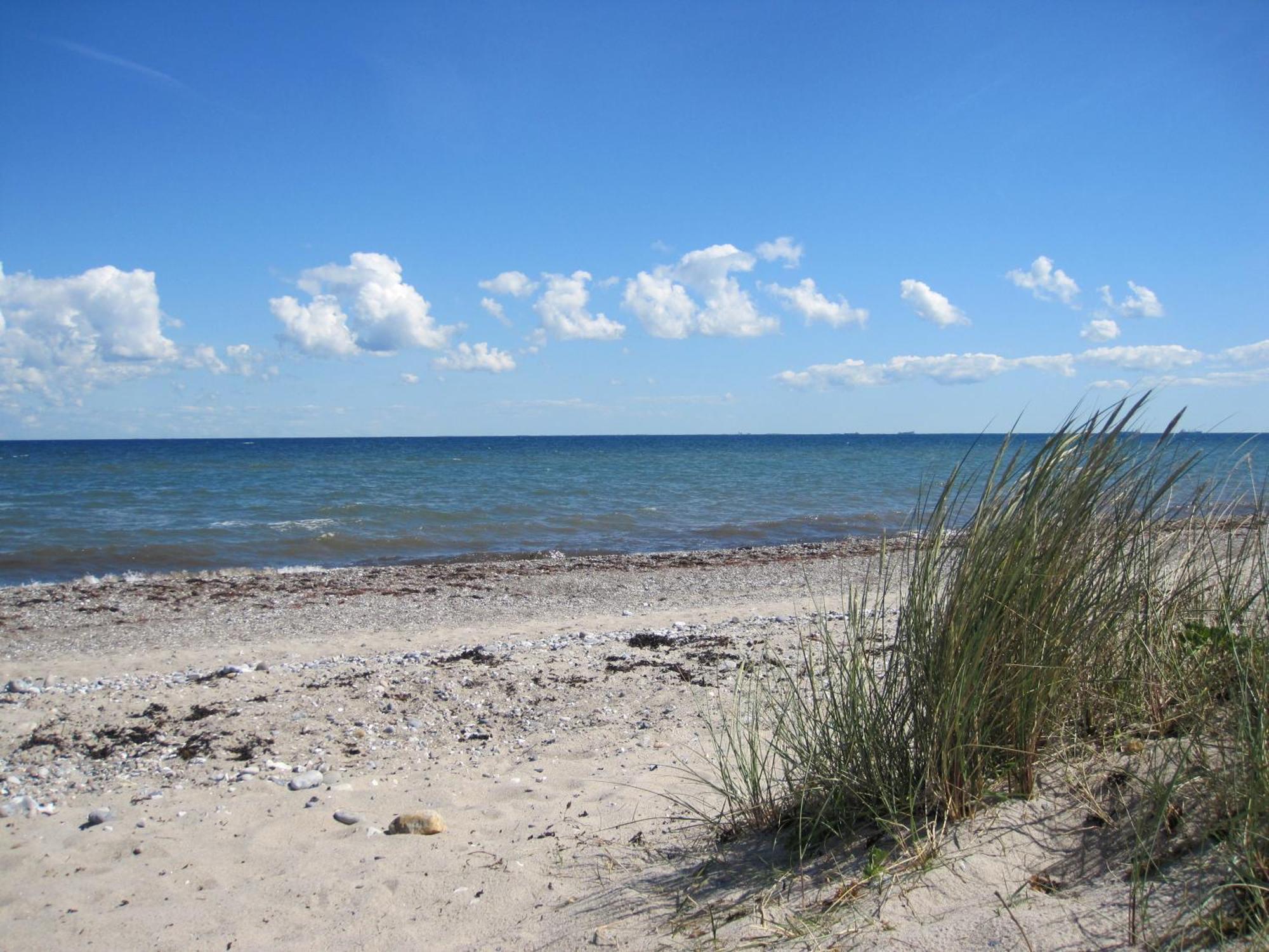 Fewo Im Kastania Nr19 Petersdorf auf Fehmarn Kültér fotó